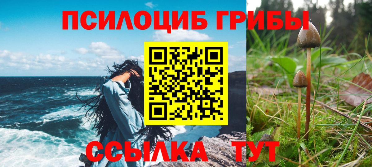 Псилоцибиновые грибы мухоморы Королёв